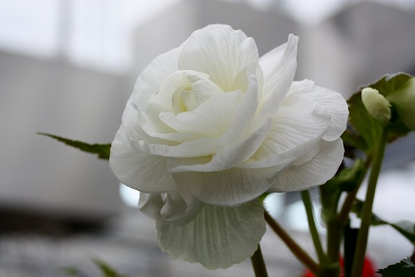 20120417002.jpg