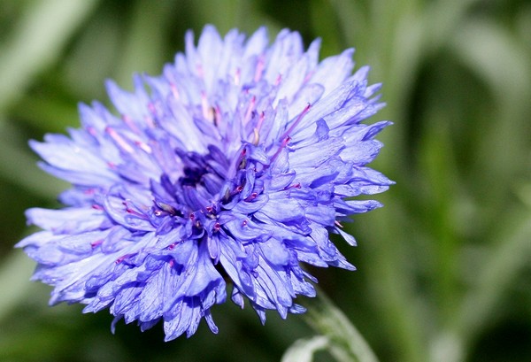 20120422012.jpg