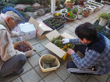 1312daidai2.jpg