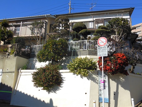 1312daidai4.jpg