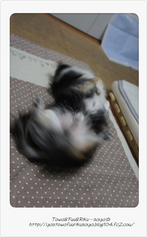 画像2-9 005-1