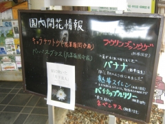 greencenter140928-103.jpg