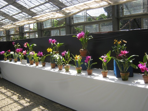 greencenter140928-119.jpg