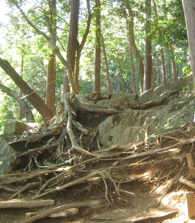 hiwada140914-133.jpg