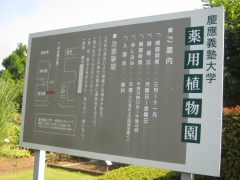 keiou140923-106.jpg