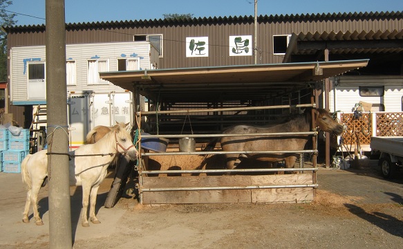 kinchakuda140914-114.jpg