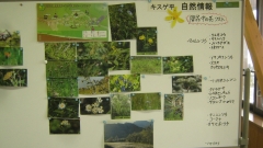 kirihuri140920-108.jpg