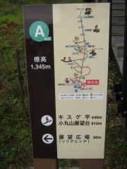 kirihuri140920-110.jpg