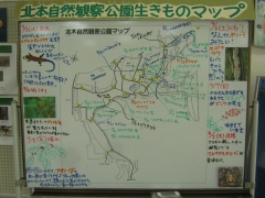 kitamoto140907-105.jpg