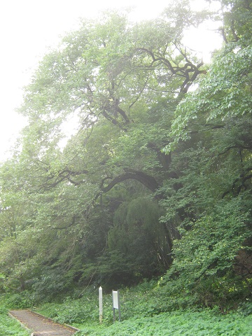kitamoto140907-110.jpg