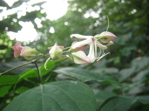 kitamoto140907-112.jpg