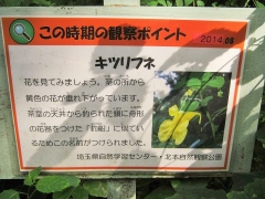 kitamoto140907-123.jpg