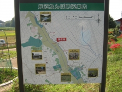 minuma140923-105.jpg