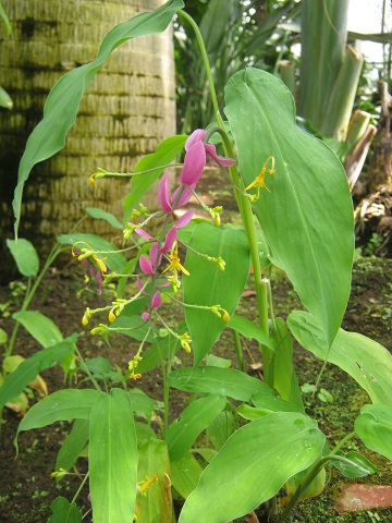 oosaki140923-108.jpg