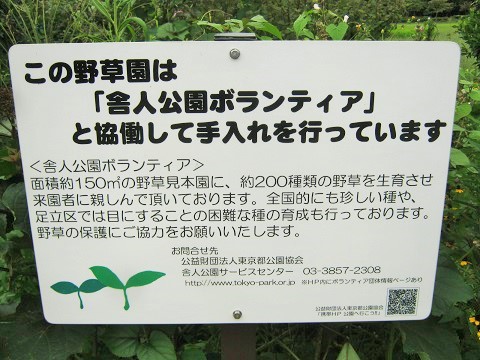 toneri140915-118.jpg