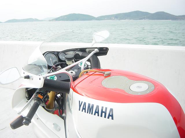 DSC00856.jpg