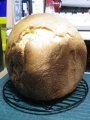 20131125.jpg