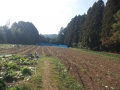 20131208-4.jpg