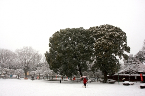 20140208dd (6)