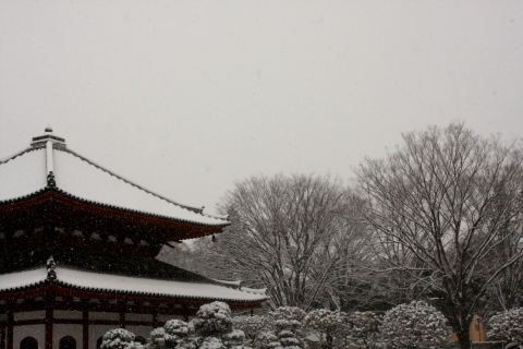 20140208dd (7)
