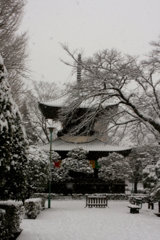 20140208dd (10)