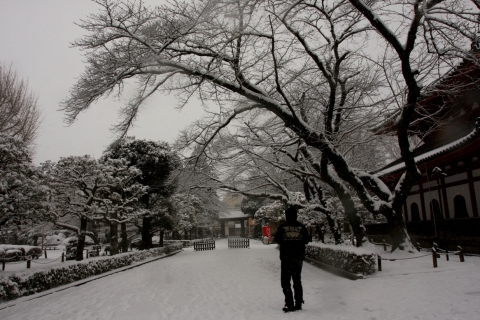 20140208dd (12)