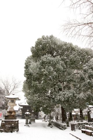 20140208dd (13)