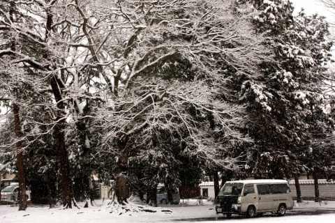 20140208dd (19)
