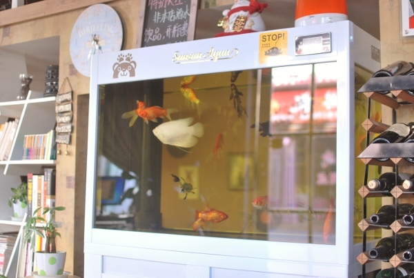 20131217-00.jpg