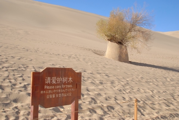 20131218-00.jpg