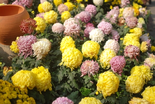 20131223-00.jpg