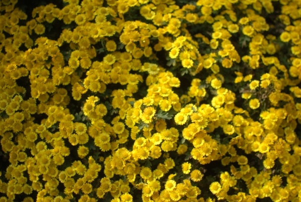 20131223-00.jpg
