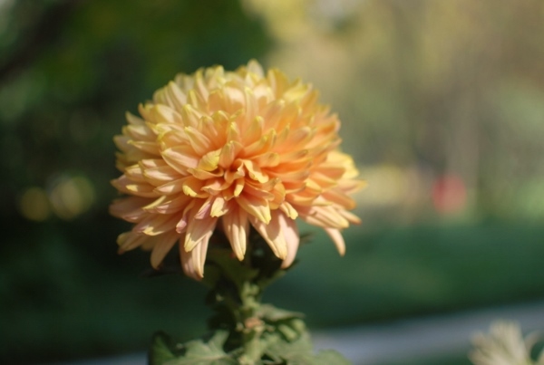 20131223-00.jpg