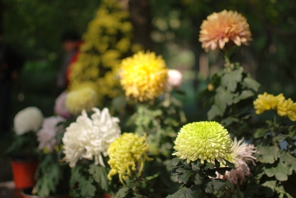 20131223-00.jpg