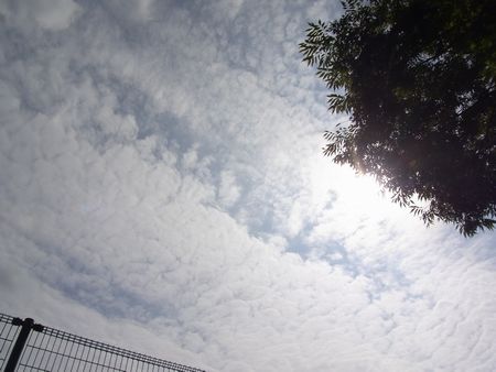 2853.jpg