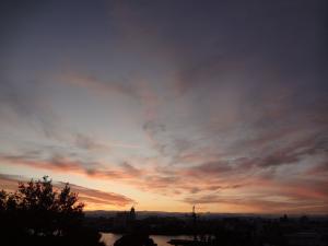 DSC00220_convert_20111107192005.jpg