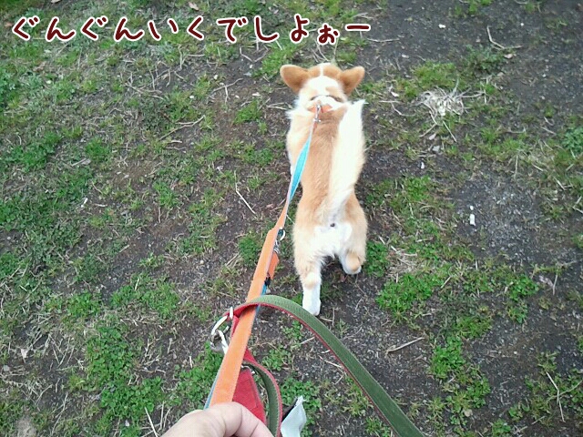 ずんずん