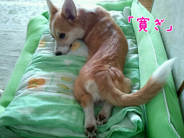寛ぎ