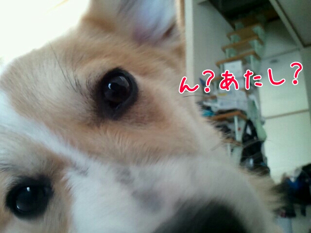 ん?あたし?