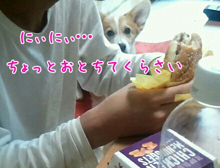 おとして