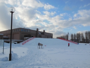 141273.jpg