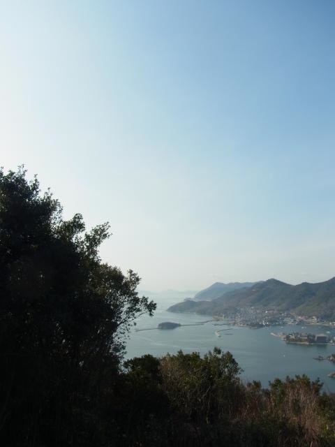 R4194461_convert_20120124180528.jpg