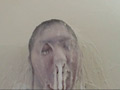 Paraffin