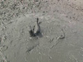 Mud Lady2