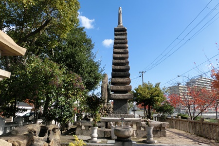 CIMG1585.jpg