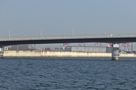 CIMG1623.jpg
