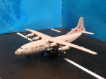 461.jpg