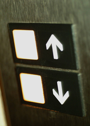 MP900385976.jpg