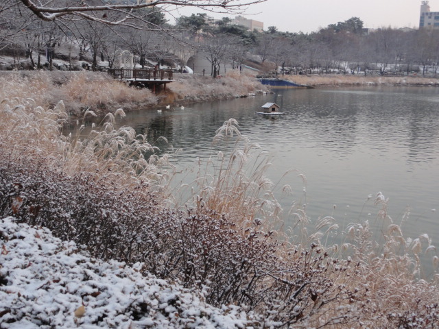 2013年12月14日 蚕室石村湖