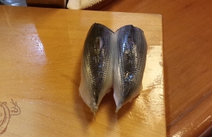 しんこです!